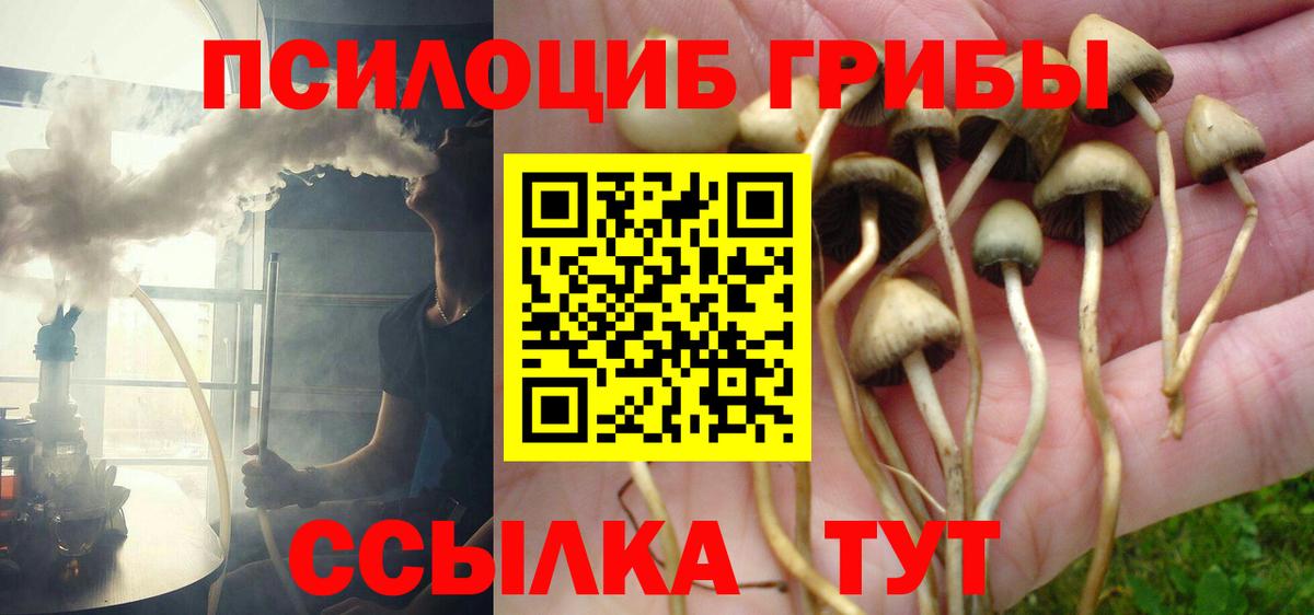 Галлюциногенные грибы мицелий  наркотики  Баксан  Вход с VPN 