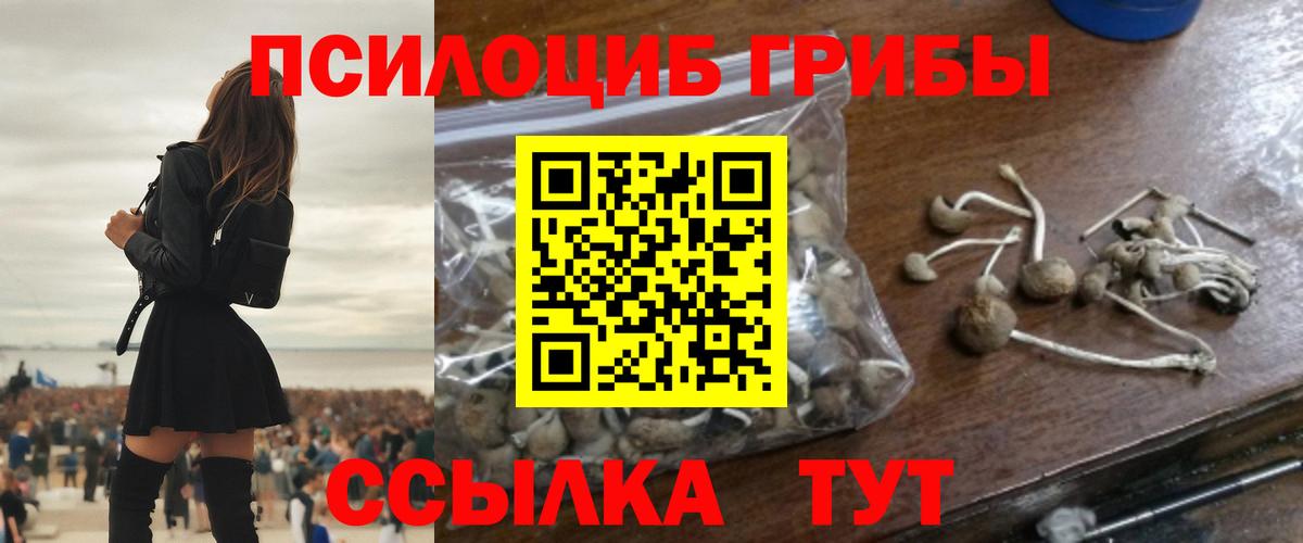 Галлюциногенные грибы MAGIC MUSHROOMS Баксан